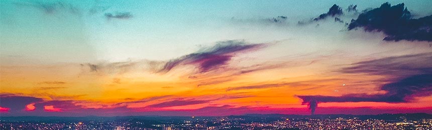 衡东茶虫网_衡东品茶